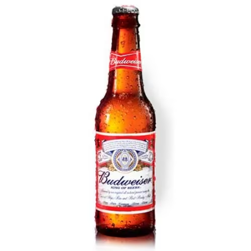 Cerveja Budweiser 330ml